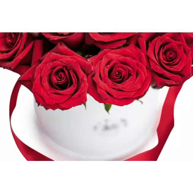 Box ekvádorských růží